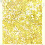 United States Geological Survey Buena Vista NW, GA (1949, 24000-Scale) digital map