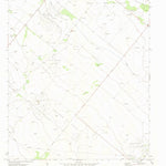 United States Geological Survey Buena Vista, TX (1972, 24000-Scale) digital map