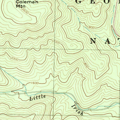 United States Geological Survey Buena Vista, VA (1999, 24000-Scale) digital map