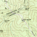 United States Geological Survey Buena Vista, VA (1999, 24000-Scale) digital map