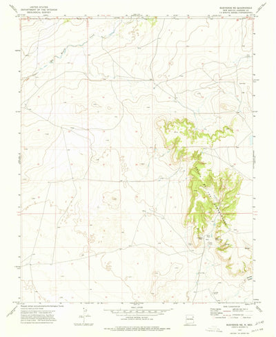 United States Geological Survey Bueyeros NE, NM (1973, 24000-Scale) digital map