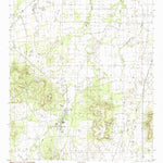 United States Geological Survey Buffalo Gap, TX (1984, 24000-Scale) digital map