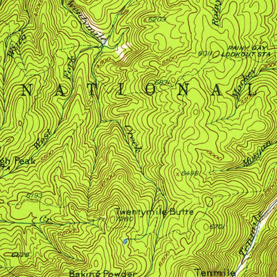 United States Geological Survey Buffalo Hump, ID (1931, 125000-Scale) digital map