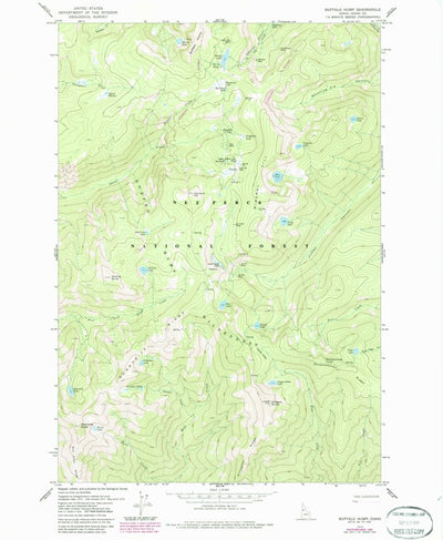 United States Geological Survey Buffalo Hump, ID (1979, 24000-Scale) digital map