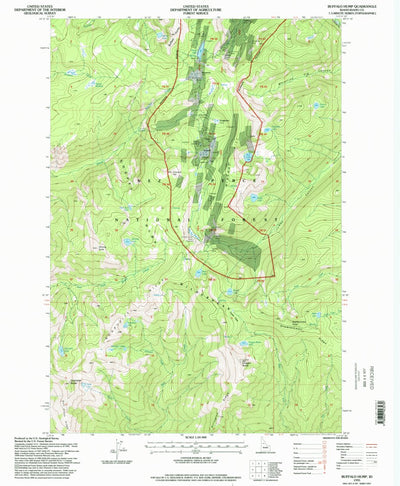 United States Geological Survey Buffalo Hump, ID (1995, 24000-Scale) digital map