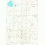 United States Geological Survey Buffalo Lake, MT (1968, 24000-Scale) digital map