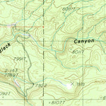 United States Geological Survey Buffalo Lake NE, ID-WY-MT (1986, 24000-Scale) digital map