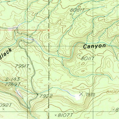 United States Geological Survey Buffalo Lake NE, ID-WY-MT (1986, 24000-Scale) digital map