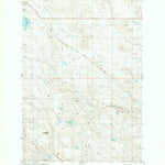 United States Geological Survey Buffalo Reservoir, MT (1981, 24000-Scale) digital map