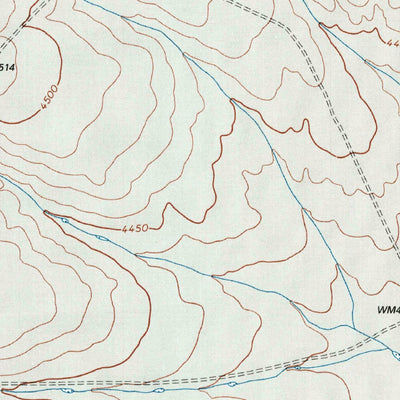 United States Geological Survey Buffalo Springs, TX (1998, 24000-Scale) digital map