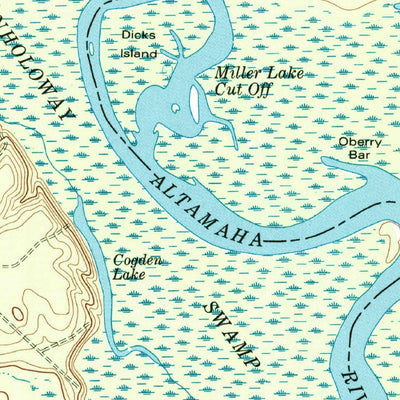 United States Geological Survey Bug Island, GA (1978, 24000-Scale) digital map