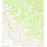 United States Geological Survey Bug Scuffle Canyon, NM (1981, 24000-Scale) digital map