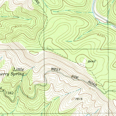 United States Geological Survey Bug Scuffle Canyon, NM (1981, 24000-Scale) digital map