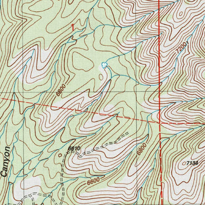 United States Geological Survey Bug Scuffle Canyon, NM (2004, 24000-Scale) digital map