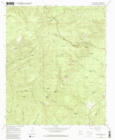 United States Geological Survey Bull Basin, NM (1965, 24000-Scale) digital map
