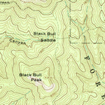 United States Geological Survey Bull Basin, NM (1965, 24000-Scale) digital map