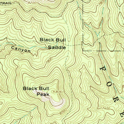 United States Geological Survey Bull Basin, NM (1965, 24000-Scale) digital map