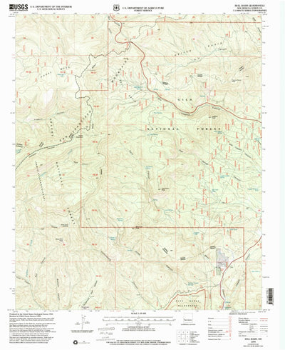 United States Geological Survey Bull Basin, NM (1999, 24000-Scale) digital map