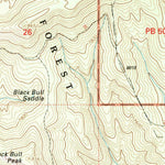 United States Geological Survey Bull Basin, NM (1999, 24000-Scale) digital map