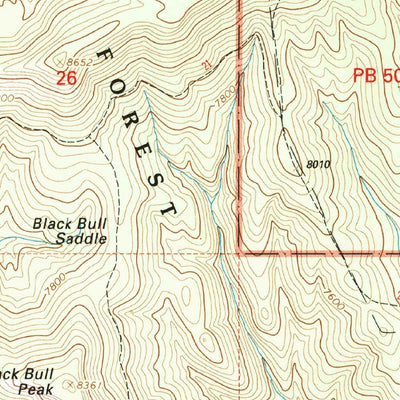 United States Geological Survey Bull Basin, NM (1999, 24000-Scale) digital map