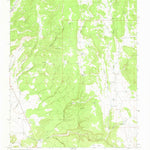 United States Geological Survey Bull Canyon, NM (1966, 24000-Scale) digital map