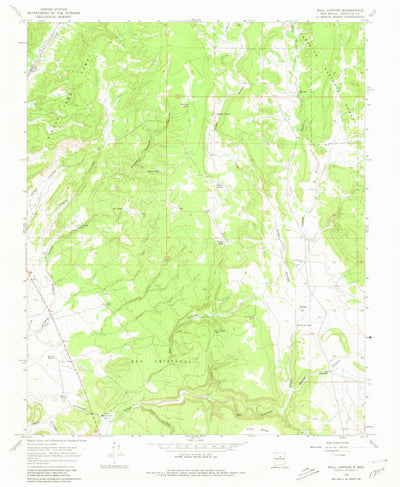 United States Geological Survey Bull Canyon, NM (1966, 24000-Scale) digital map
