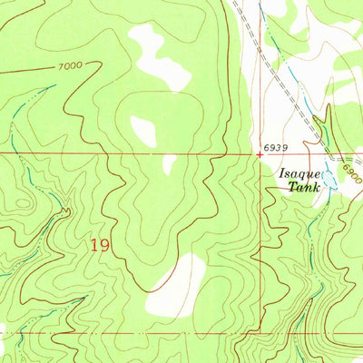 United States Geological Survey Bull Canyon, NM (1966, 24000-Scale) digital map