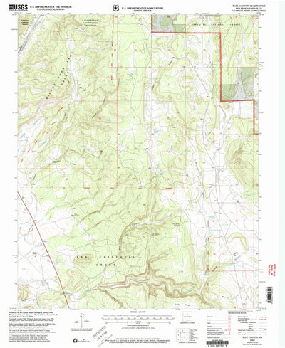United States Geological Survey Bull Canyon, NM (2002, 24000-Scale) digital map