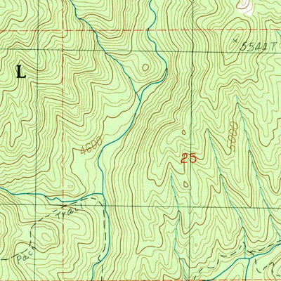 United States Geological Survey Bull Creek Hot Springs, ID (1988, 24000-Scale) digital map