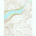 United States Geological Survey Bull Lake East, WY (1951, 24000-Scale) digital map