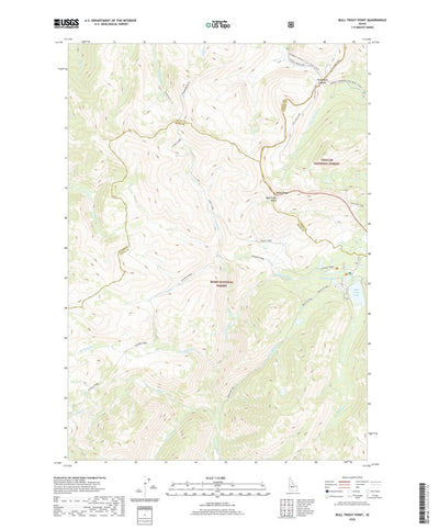 United States Geological Survey Bull Trout Point, ID (2020, 24000-Scale) digital map