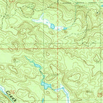 United States Geological Survey Bulldog Lake, MI (1985, 24000-Scale) digital map