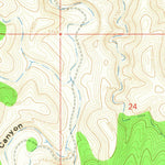 United States Geological Survey Bullis Spring Ranch, NM (1965, 24000-Scale) digital map