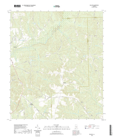 United States Geological Survey Bullock, AL (2020, 24000-Scale) digital map