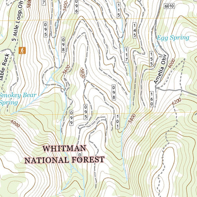 United States Geological Survey Bullrun Rock, OR (2020, 24000-Scale) digital map
