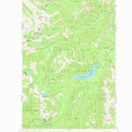United States Geological Survey Bumping Lake, WA (1962, 62500-Scale) digital map