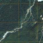 United States Geological Survey Bunch Lake, WA (2011, 24000-Scale) digital map