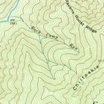 United States Geological Survey Bunches Bald, NC (1964, 24000-Scale) digital map