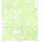 United States Geological Survey Bundy Ranch, TX (1962, 24000-Scale) digital map