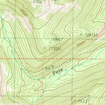 United States Geological Survey Burgdorf, ID (1989, 24000-Scale) digital map