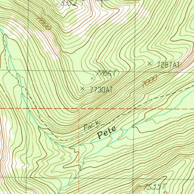 United States Geological Survey Burgdorf, ID (1989, 24000-Scale) digital map