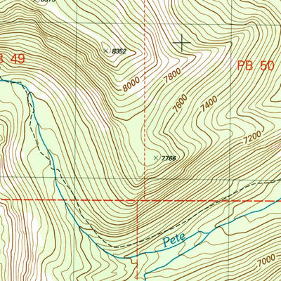 United States Geological Survey Burgdorf, ID (2004, 24000-Scale) digital map