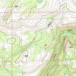 United States Geological Survey Burge Mountain, WA (1981, 24000-Scale) digital map