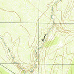 United States Geological Survey Burkes Ridge, TX (1979, 24000-Scale) digital map