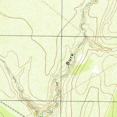 United States Geological Survey Burkes Ridge, TX (1979, 24000-Scale) digital map