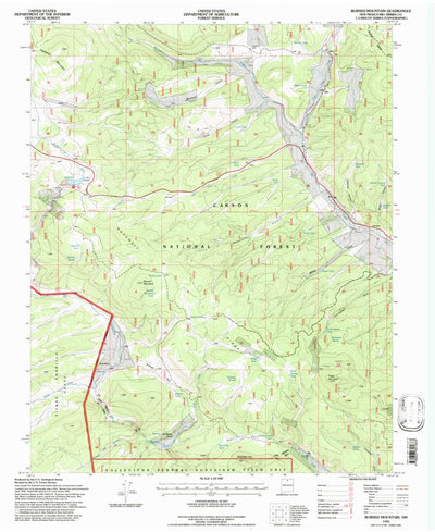 United States Geological Survey Burned Mountain, NM (1995, 24000-Scale) digital map