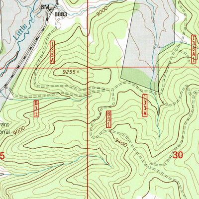 United States Geological Survey Burned Mountain, NM (1995, 24000-Scale) digital map