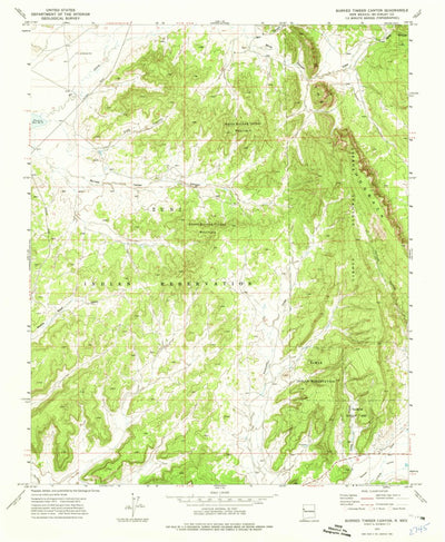 United States Geological Survey Burned Timber Canyon, NM (1972, 24000-Scale) digital map