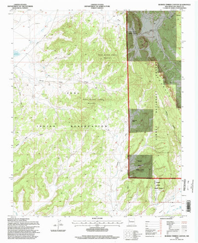 United States Geological Survey Burned Timber Canyon, NM (1995, 24000-Scale) digital map