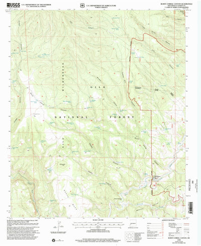 United States Geological Survey Burnt Corral Canyon, NM (1999, 24000-Scale) digital map